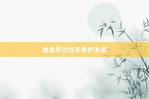 金鱼吊兰吐花养护本领