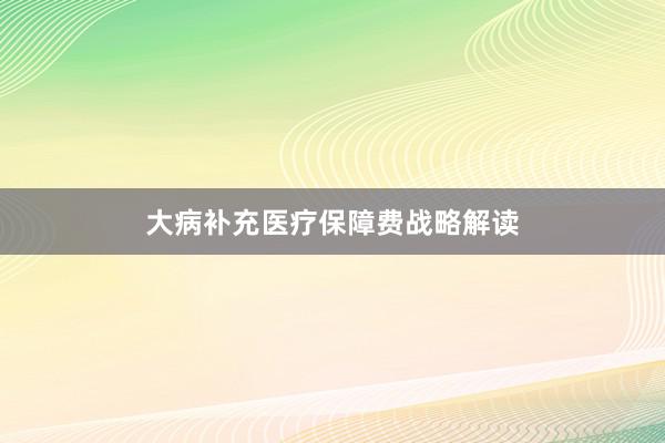 大病补充医疗保障费战略解读