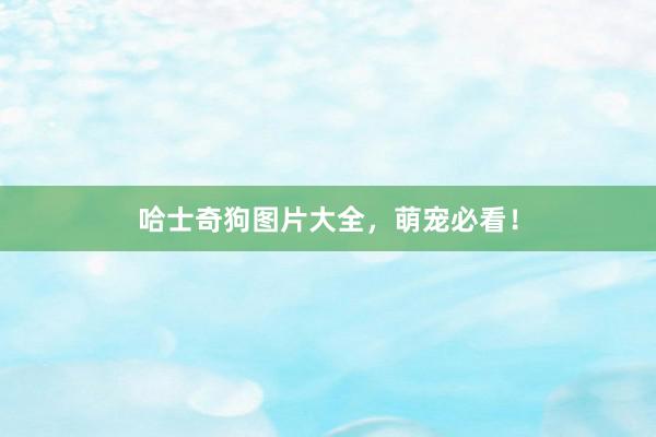 哈士奇狗图片大全，萌宠必看！