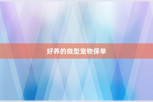 好养的微型宠物保举