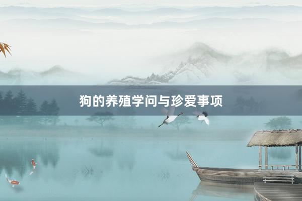 狗的养殖学问与珍爱事项